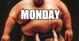 SUMO Meme SUMO Meme