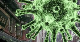 Corona Virus