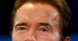 Arnold Schwarzenegger : Political