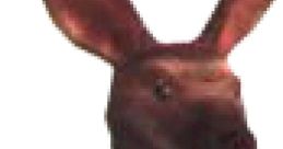 Roger : Tekken 2