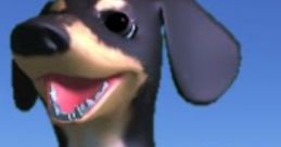 Dog of Wisdom