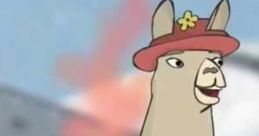 Llamas with Hats