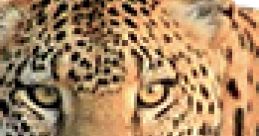 Leopard Soundboard