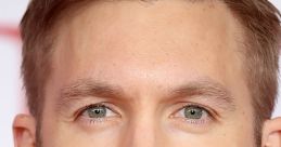 Calvin Harris