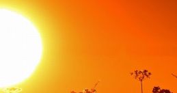 Heatwave