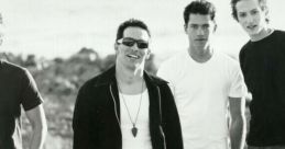 The Flys