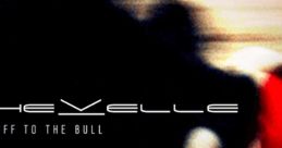 Hats Off to the Bull