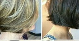 Www.freshcutbeats.com