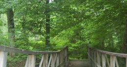 Wooden Creeks