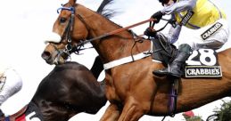 Horse Racing (Chases)