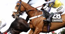 Horse Racing (Chases) Soundboard