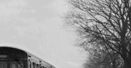 Trains: Diesel Multiple Unit (Exterior)
