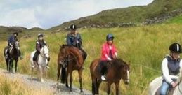 Pony Trekking
