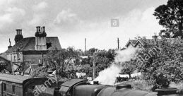 Southern Region Steam Trains
