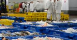 Fish Market: Grimsby