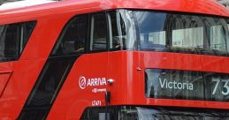 Buses