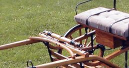 Pony & Cart