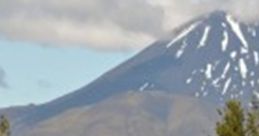 New Zealand - The Natural World 2