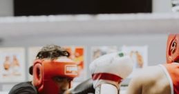 Boxing & Wrestling