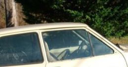 Ford Fiesta Motor Car (1980 Model, 1300Cc) Interior Soundboard