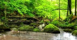 Water: Streams