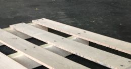 Skids