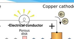 Chemical & Electrical Reactions