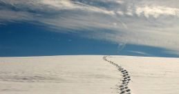 Footsteps In Snow