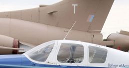 Aircraft: Beagle Pup