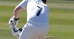 County Cricket Match