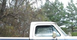 2 Ton Diesel Truck