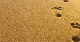 Footsteps On Country Road: Walking