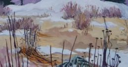 Coastal Garden In Winter