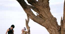 African FX