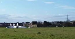 Launching a Catapult FX model in a grassy field, showcasing the innovative design and functionality in action.