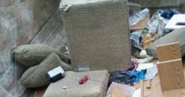 Dumpster FX