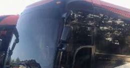 Buses FX