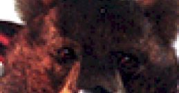 Kuma : Tekken 3