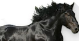 Old Town Road