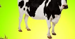 Animal . Name the , and learn