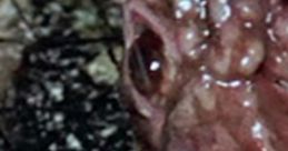 101 of Horror Effects 101 of Horror Effects