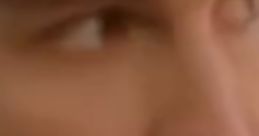 Mi scusi