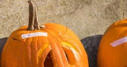 Halloween Halloween