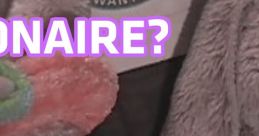 Who Wants To Be a Millionaire 2
