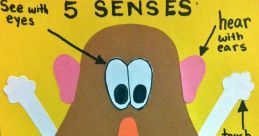 Senses project