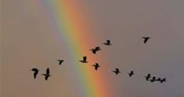 To make those rainbows in my mind