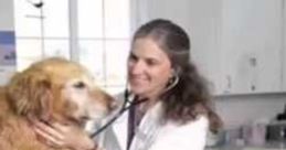 Anti Obama Veterinarian