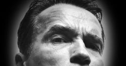 Arnold Schwarzenegger Flash