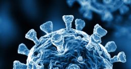 CDC COVID-19 Public Service Announcements (PSAs)