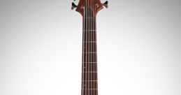 Bass Guitar